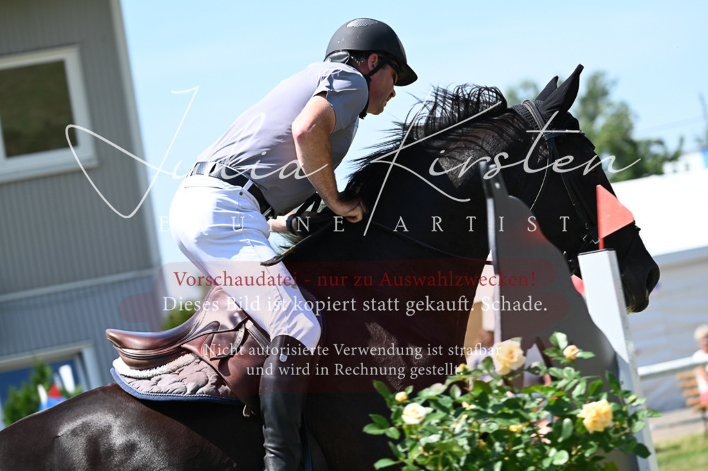 DSC_0758 | Pferde- und Turnierfotografie in Westsachsen. Pferdeportraits, Auftragszeichnungen und intuitive Kunst.