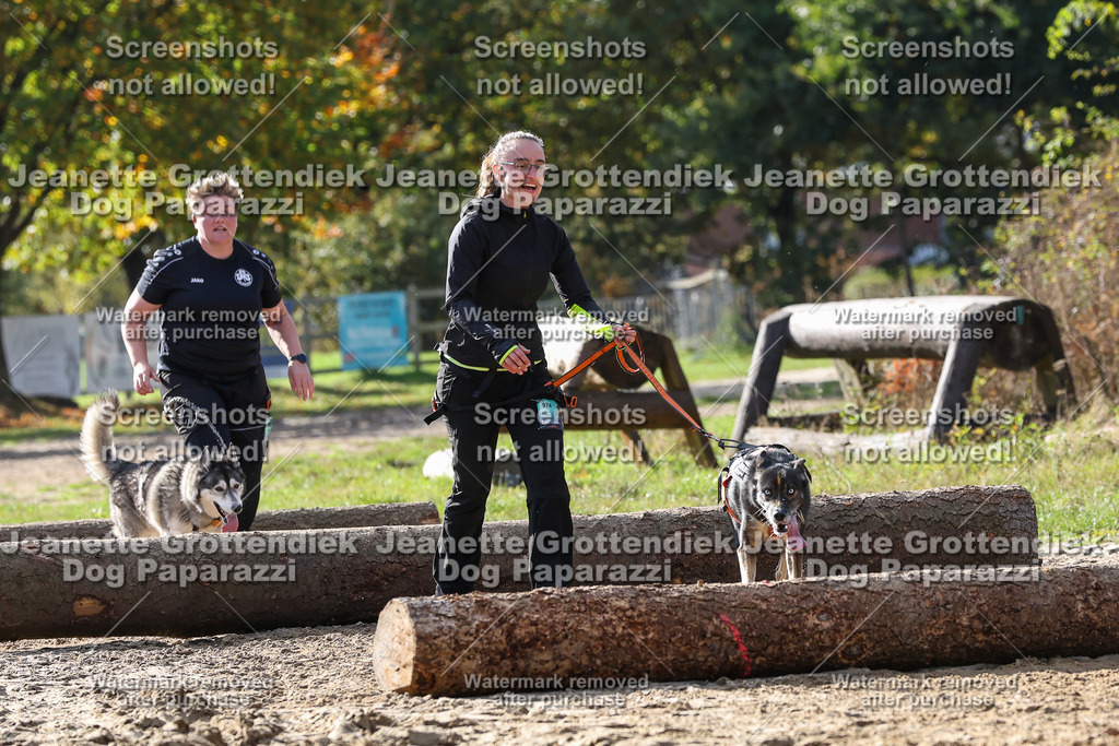 Dog Paparazzi - Strongdog 10-25-5879 | Dog Paparazzi Jeanette Grottendiek Fotografie & Videografie - Realisiert mit Pictrs.com