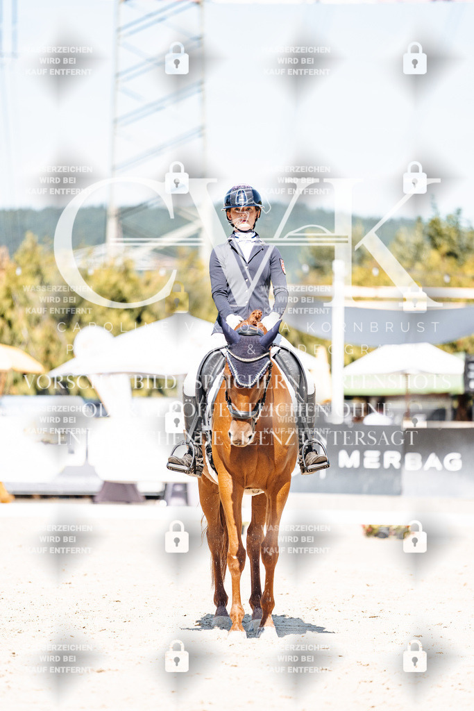 CK909586 | Turnierfotografie Pferdefotografie Trier Rheinland-Pfalz Pferdesport Reitsport Tierfotografie Sportfotografie Pferdevideo Pferdevideografie Equestrianvideography equestrianphotography  - Realisiert mit Pictrs.com