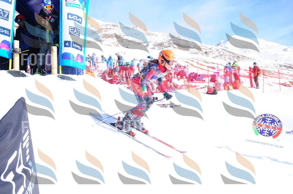 DSC_4920 | holidayphoto