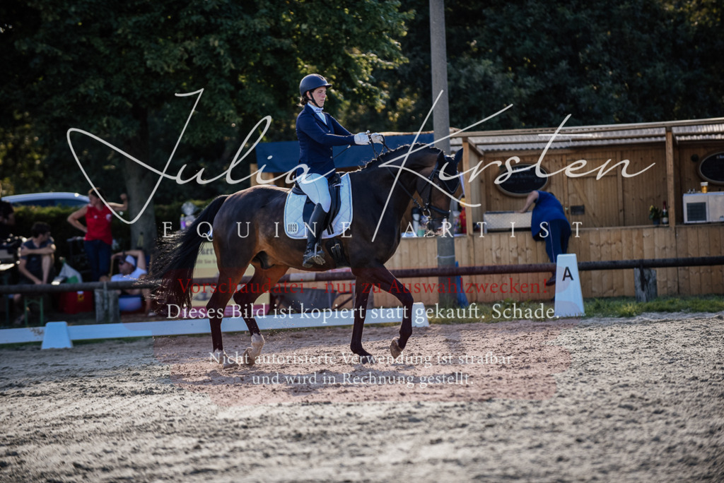 DSC_0629 | Pferde- und Turnierfotografie in Westsachsen. Pferdeportraits, Auftragszeichnungen und intuitive Kunst.