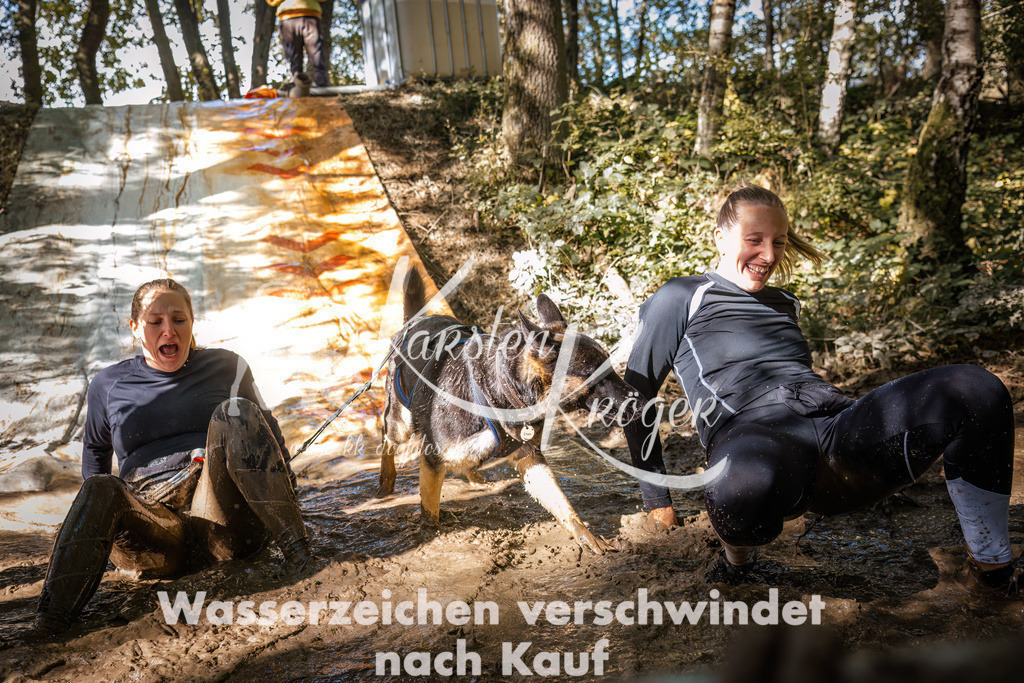 1342_ZZ92130 | kk-dogfotos