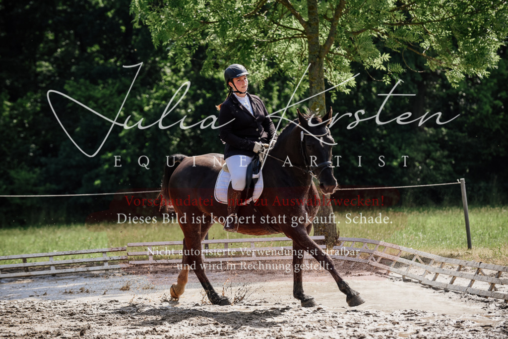 DSC_0245 | Pferde- und Turnierfotografie in Westsachsen. Pferdeportraits, Auftragszeichnungen und intuitive Kunst.