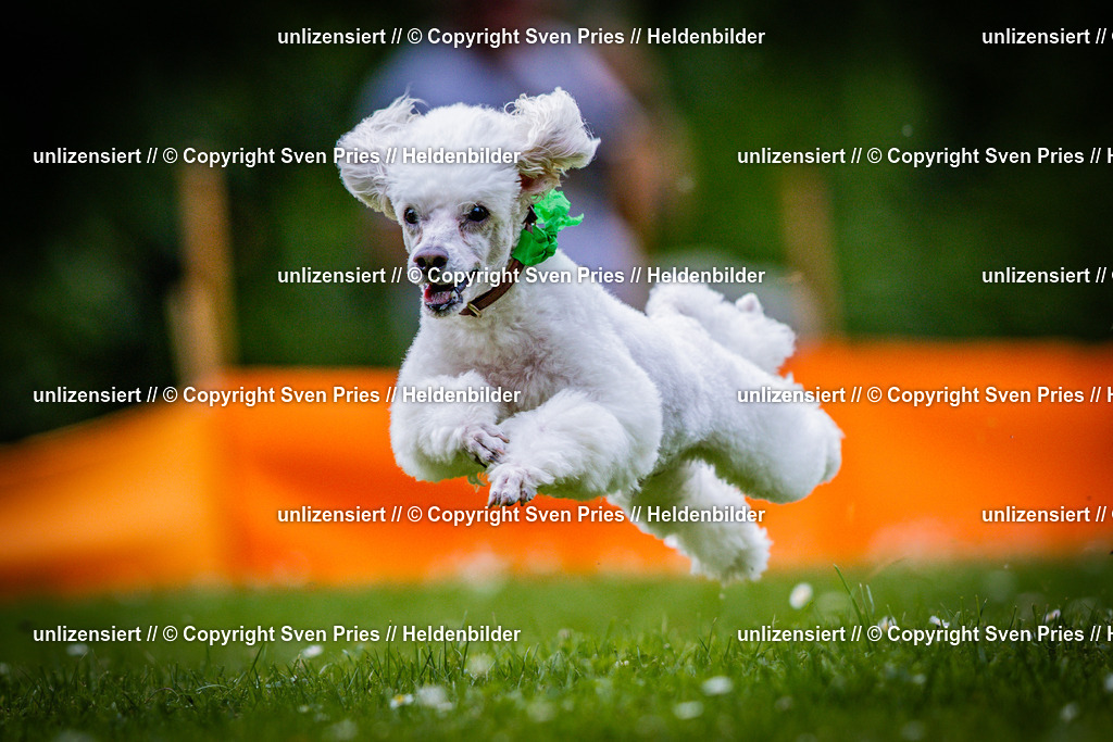 Sven Pries | 2025-05-29 - Pudelrennen KA-Durlach - Realisiert mit Pictrs.com