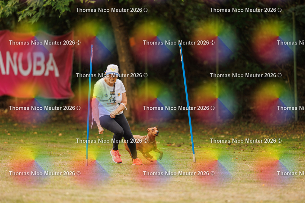 Thomas_Nico_Meuter(C)_22. August 2026_223A3488 | Bild von Thomas Nico Meuter - Realisiert mit Pictrs.com