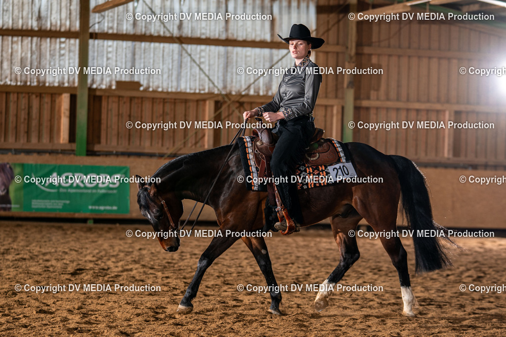 Balingen Tag 4-756 | dv-media-shop - Realisiert mit Pictrs.com