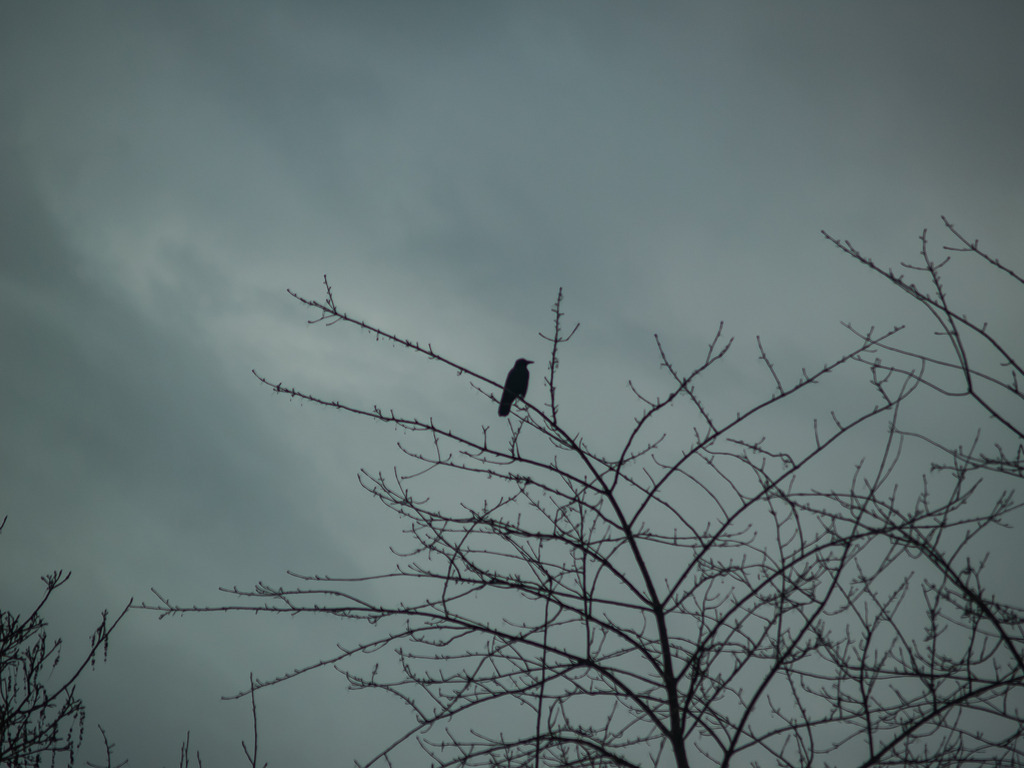 PSX_20230204_232110 | OLYMPUS DIGITAL CAMERA - Realisiert mit Pictrs.com