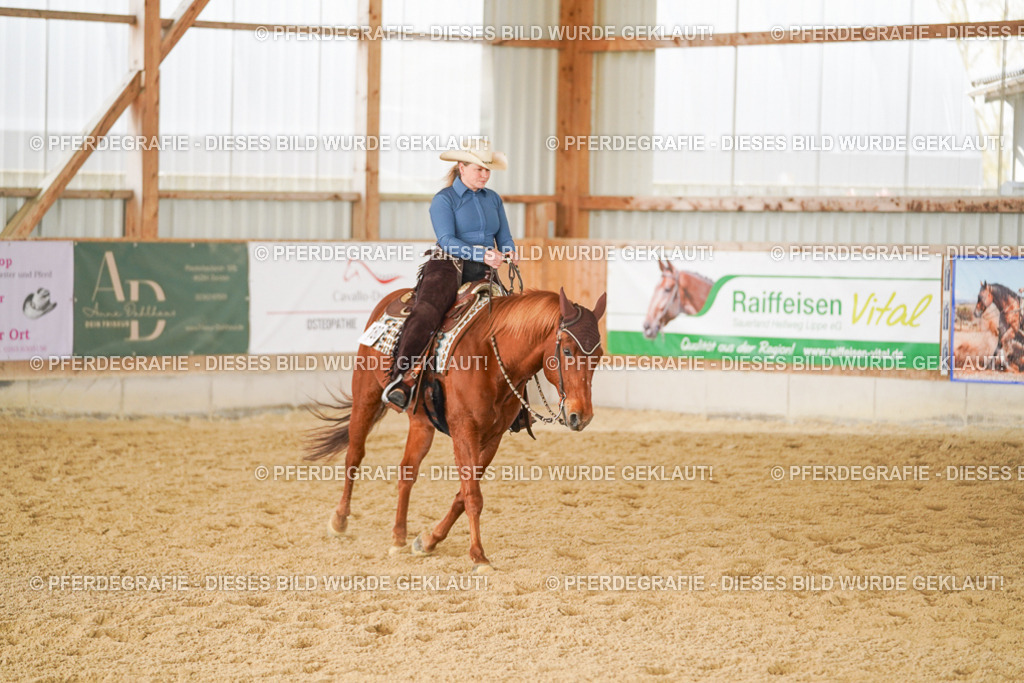 DSC01670 | Pferdegrafie