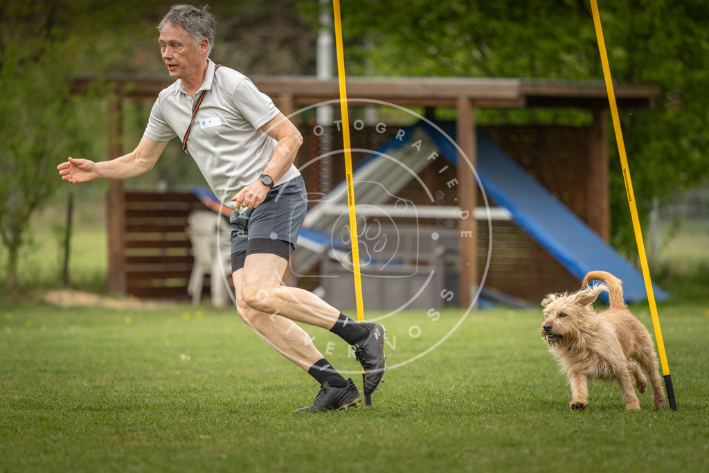 Pfotenfotografie_DV3A1992 | Hundefotografie, Tierfotograf, Pfotenfotografie, Fotoshooting Hund, Hunde Portrait, Hundesport, Hundeportraits, Heideshooting, Hunde, Sportfotograf, Hundefotograf, Turnierhundsport, THS,  - Realisiert mit Pictrs.com