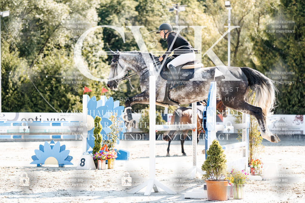 CK902649 | Turnierfotografie Pferdefotografie Trier Rheinland-Pfalz Pferdesport Reitsport Tierfotografie Sportfotografie Pferdevideo Pferdevideografie Equestrianvideography equestrianphotography  - Realisiert mit Pictrs.com