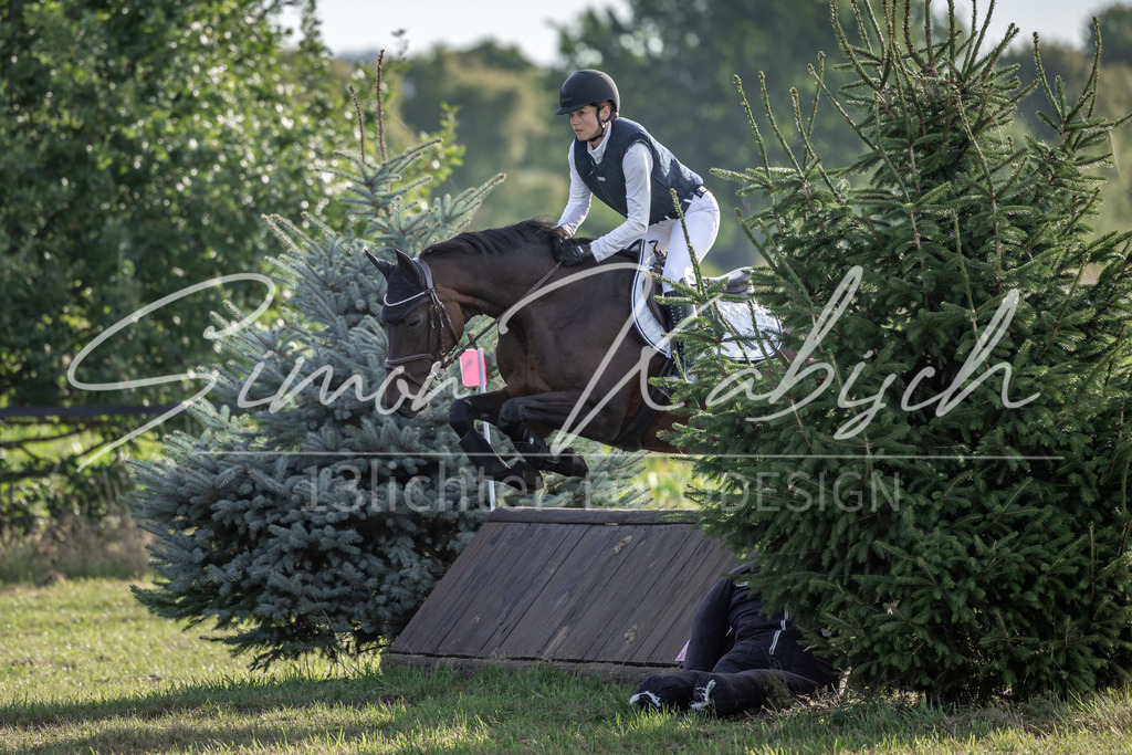 20250907-_3LI8641 | Tierfotografie Pferde, Hunde, Katzen, Haustiere.
Turnierfotografie Reitturniere, Reiten, Springreiten, Dressur in Hanau, dem Main-Kinzig-Kreis und dem Rhein-Main- Gebiet um Frankfurt