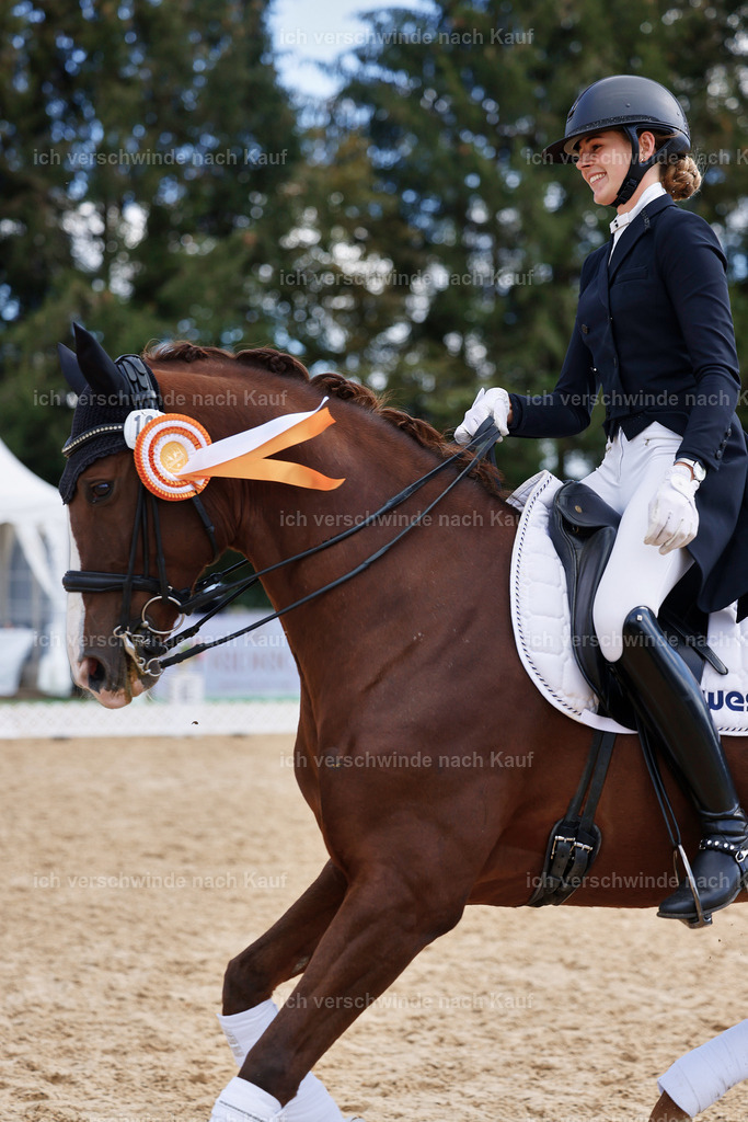 09_2-Siegerehrung-DRESSUR  S_  -StoibPH-5728 | working equitationturnier fotograf videograf stoibphotography marixx film working equitation deutschland reitsport turnierfotografie eventfotografie equestrian events