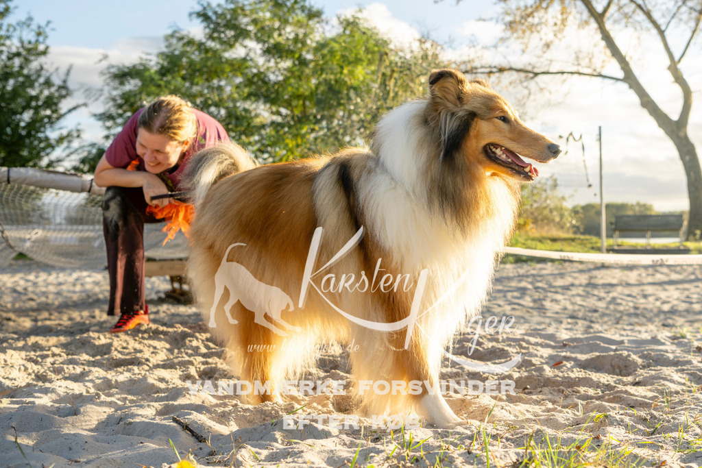 1648_ZZ99759 | kk-dogfotos