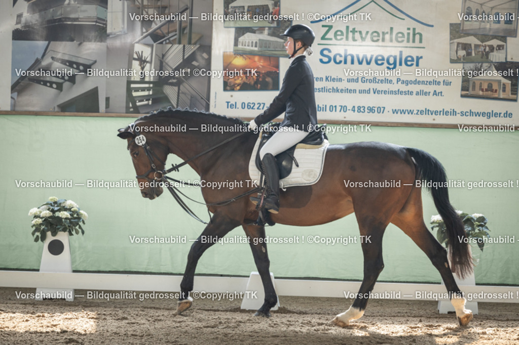 _D5A5440 | Emotionale Pferde- & People-Fotografie rund um Heidelberg, Leimen & Umgebung. Natürliche Fotos von Pferd, Mensch & Familie. Jetzt Termin sichern!