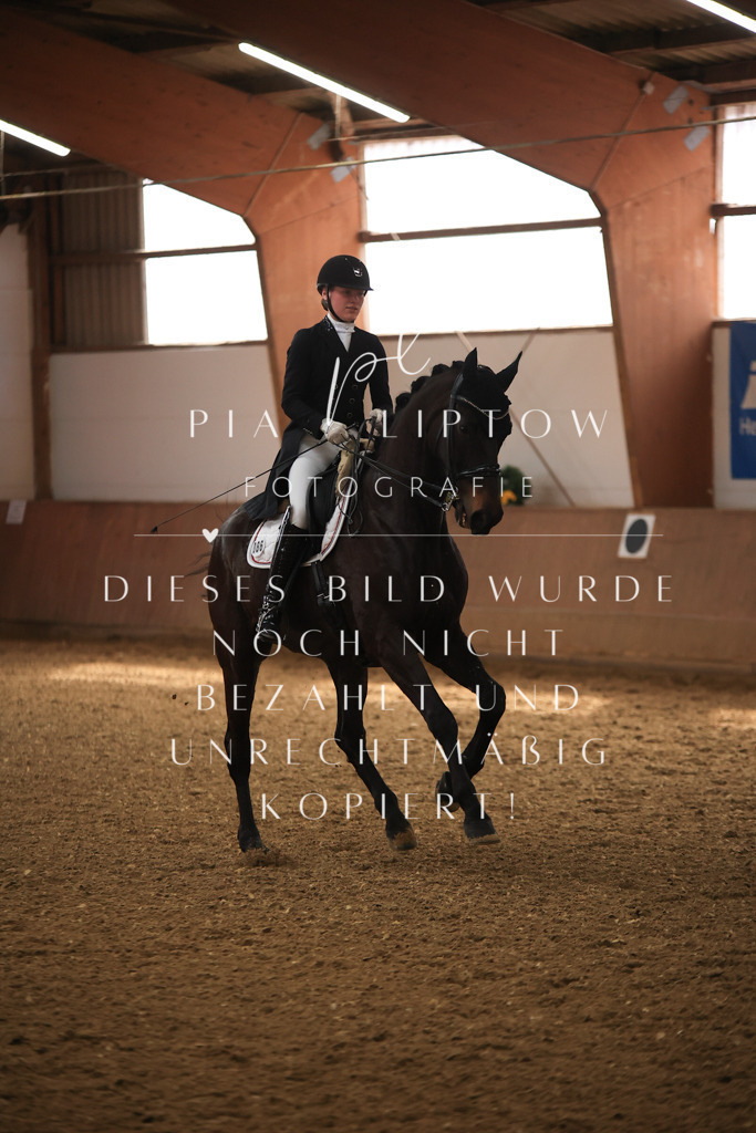 IMGT4537 | pl-fotografie