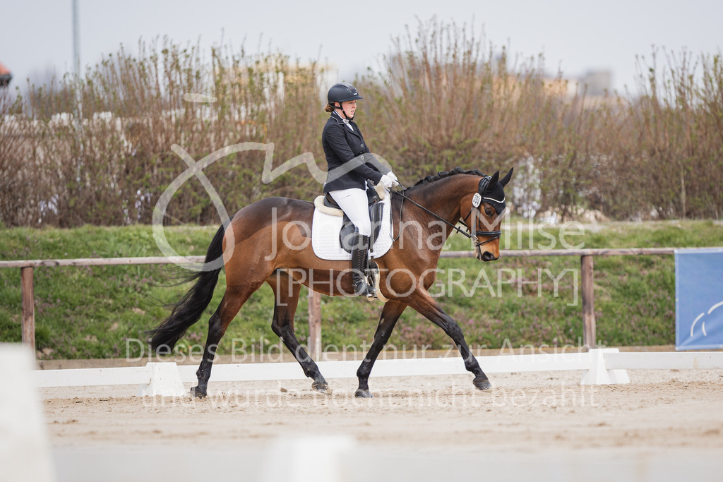 230410_Frühlingsfest_A-Dressur-407 | Deine schönsten Turniermomente als professionelle Fotos! Entdecke hochwertige Pferdesport-Fotografie im Online-Shop. Jetzt Fotos finden & bestellen!