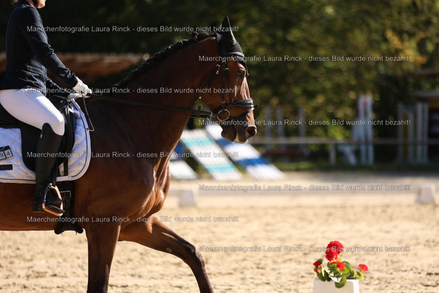 HG9A9057 | laurarinckfotografie - Realisiert mit Pictrs.com