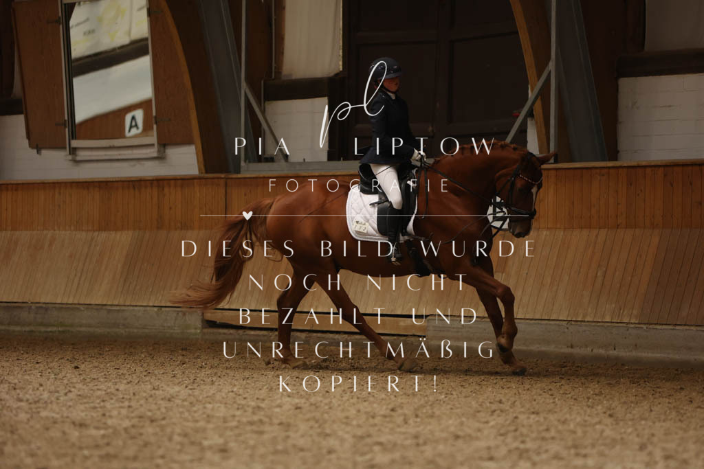 IMGM8059 | pl-fotografie