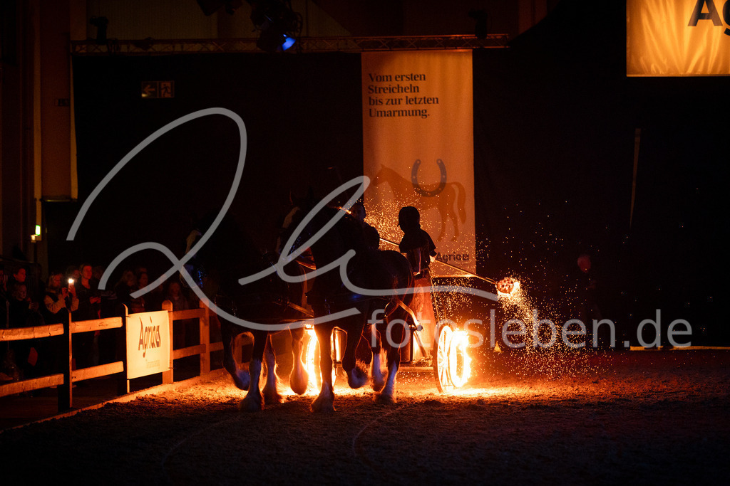 846A2264 | fotosleben - Realisiert mit Pictrs.com