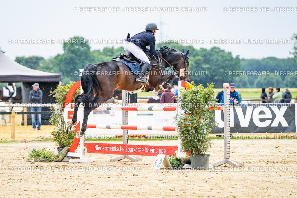 DSC06851 | Pferdegrafie