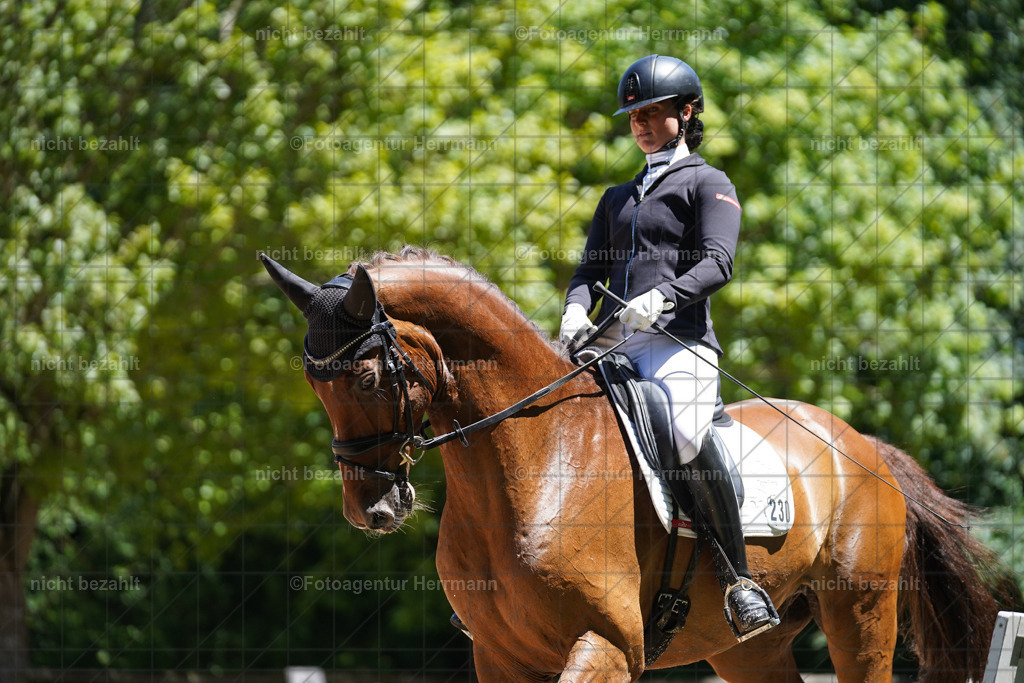 20240705-FAH03591 | Turnierbilder von Grafing, Reitsportbilder, Turnierfotos, Turnierfotografen Bayern, Pferdefotograf, Fotoagentur Herrmann