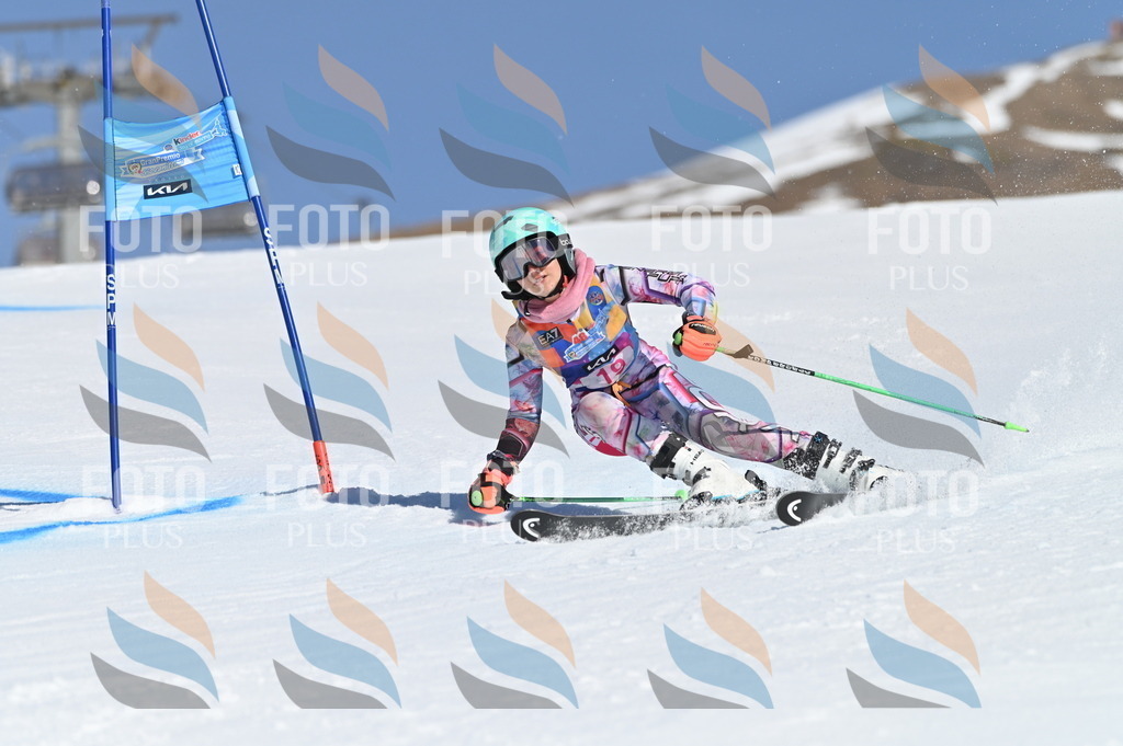 BGV_7936 | holidayphoto