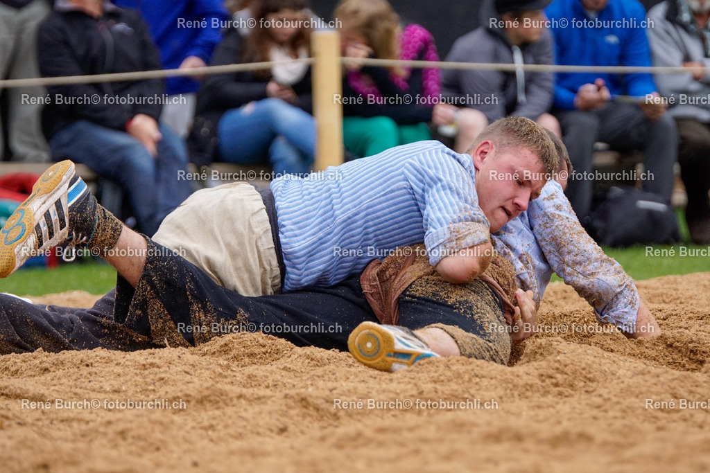 _DSC0262 | René Burch leidenschaftlicher Fotograf aus Kerns in Obwalden.  Hier finden sie Sport, Landschaft und Natur Fotografie.
 - Realisiert mit Pictrs.com