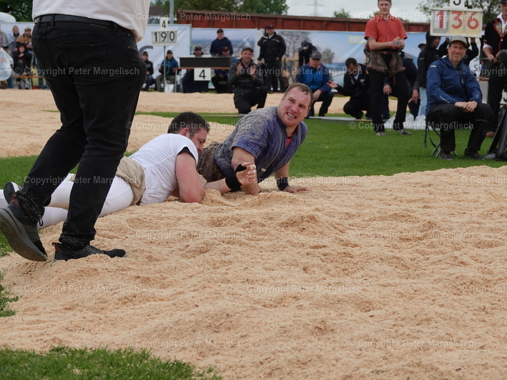 DSC06346 | Schwingen - Realisiert mit Pictrs.com