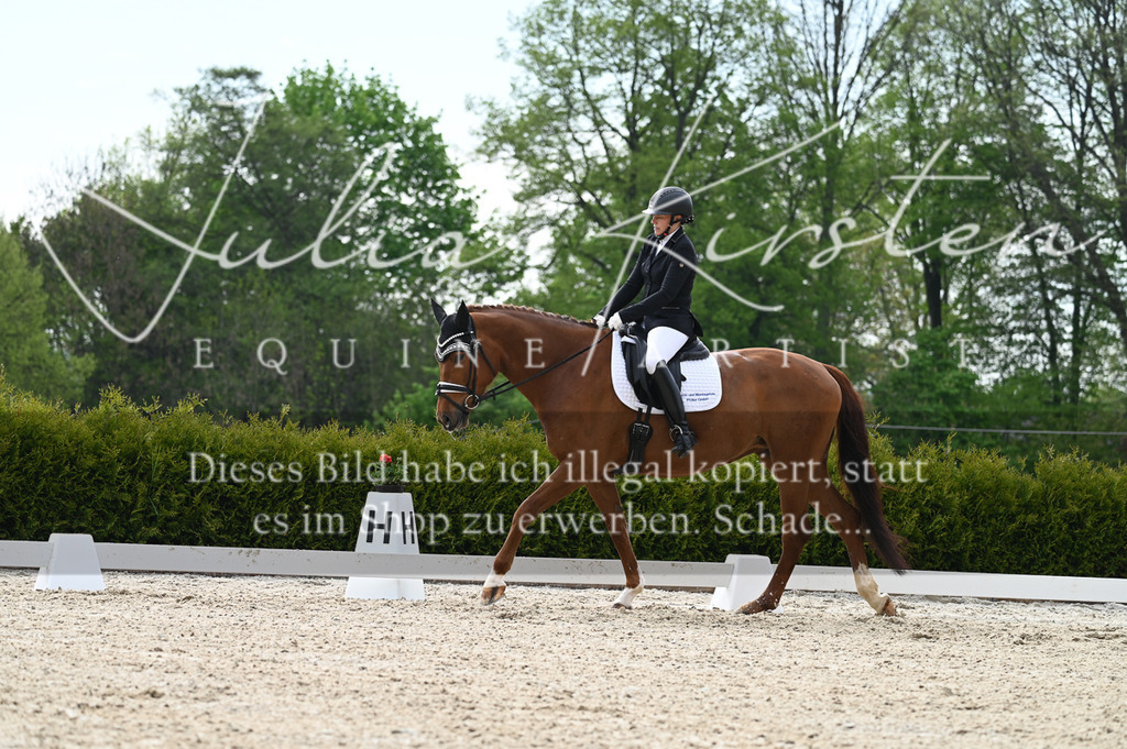 20230512_JK-Röhrsdorf-02-311 | Pferde- und Turnierfotografie in Westsachsen. Pferdeportraits, Auftragszeichnungen und intuitive Kunst.