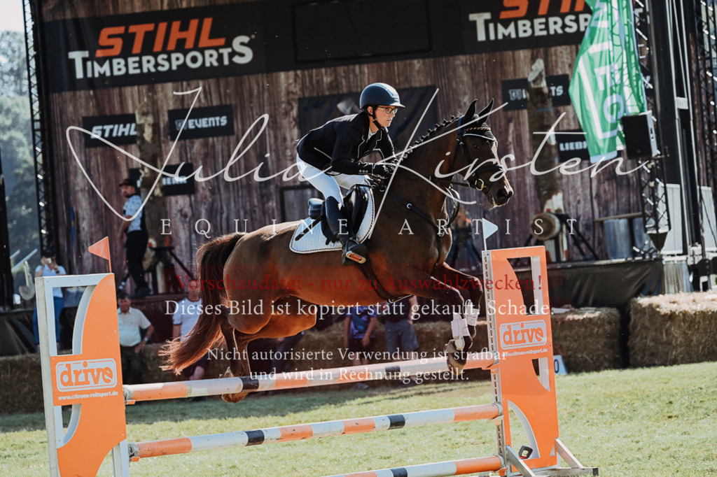 DSC_5581 | Pferde- und Turnierfotografie in Westsachsen. Pferdeportraits, Auftragszeichnungen und intuitive Kunst.