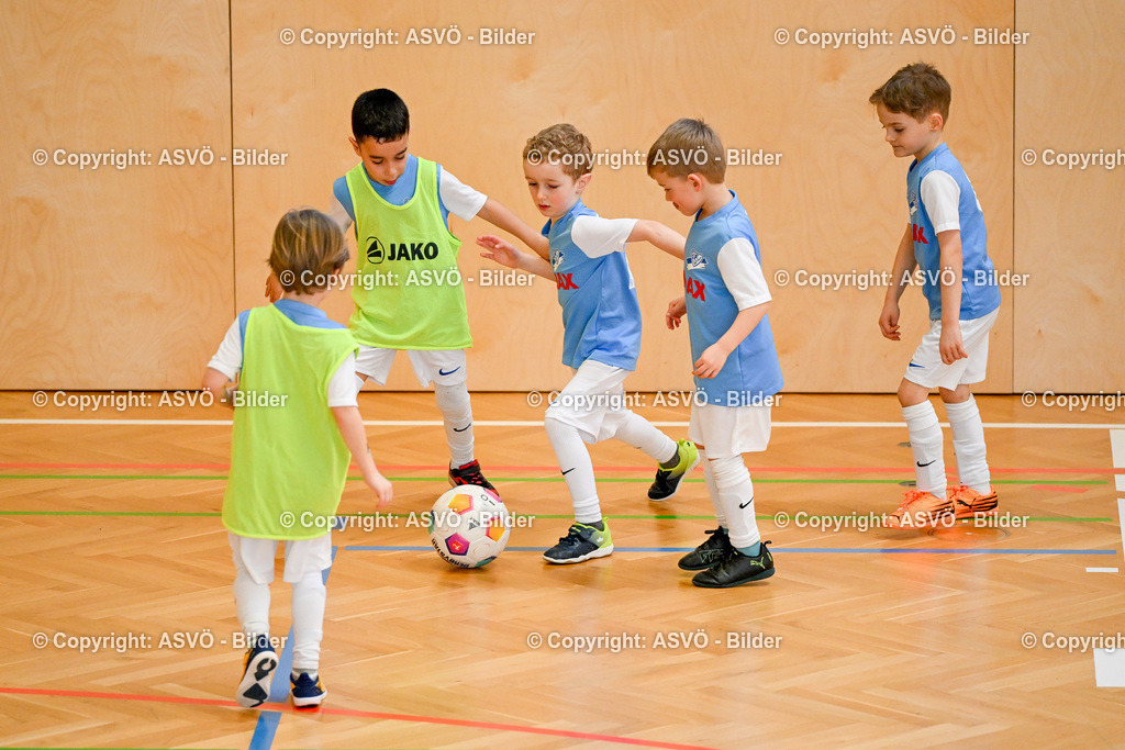 ASVÖ_ Fussball Nachwuchs Hallenturnier 2026_ SV Gallneukirchen_ 28.02.2026-208 | 28.02.2026, Gallneukirchen, AUT, ASVÖ, Fussball Nachwuchs Hallenturnier 2026, SV Gallneukirchen im Bild Teilnehmer U7©Harald Dostal / fodo.media - Realisiert mit Pictrs.com