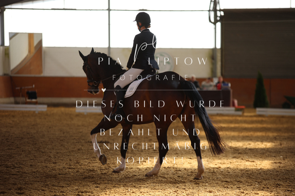 IMGT7571 | pl-fotografie