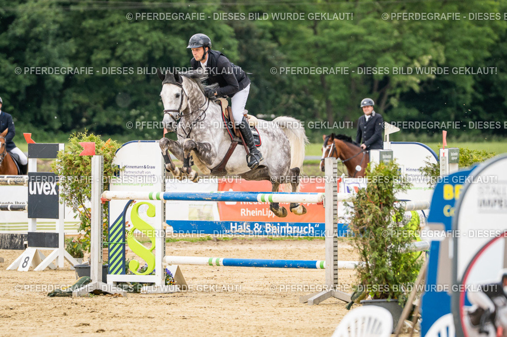 DSC06100 | Pferdegrafie