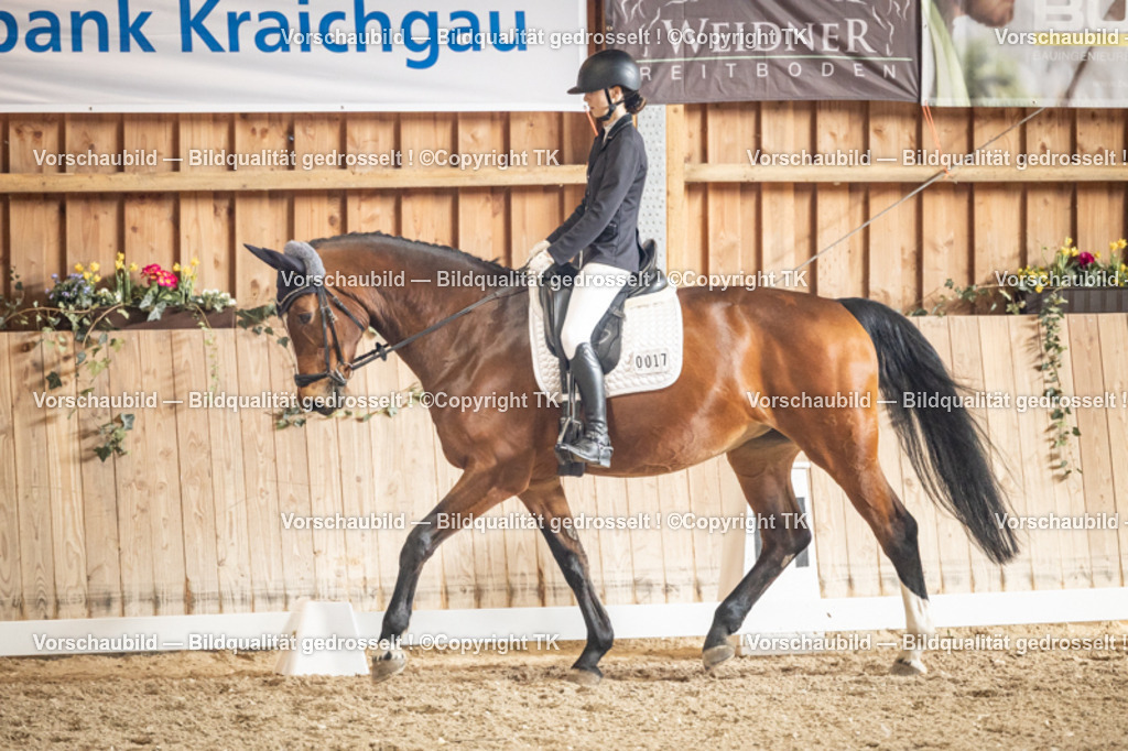 _D5A1360 | Emotionale Pferde- & People-Fotografie rund um Heidelberg, Leimen & Umgebung. Natürliche Fotos von Pferd, Mensch & Familie. Jetzt Termin sichern!