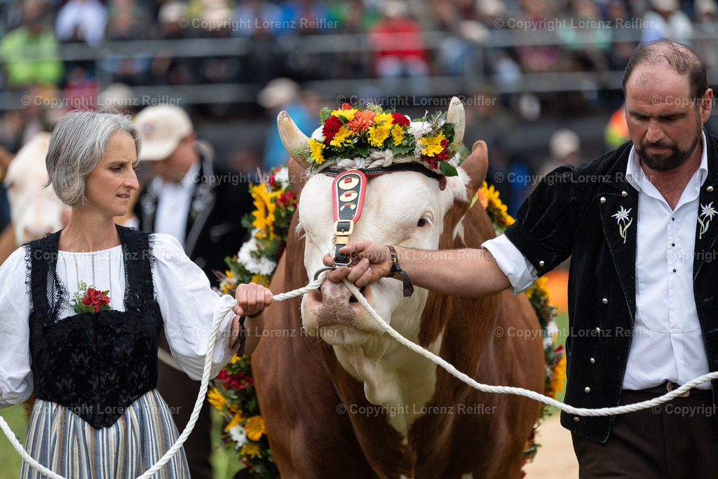 Schwingen -  Unspunnen 2023 | Interlaken, 27.8.23, Schwingen - Unspunnen.