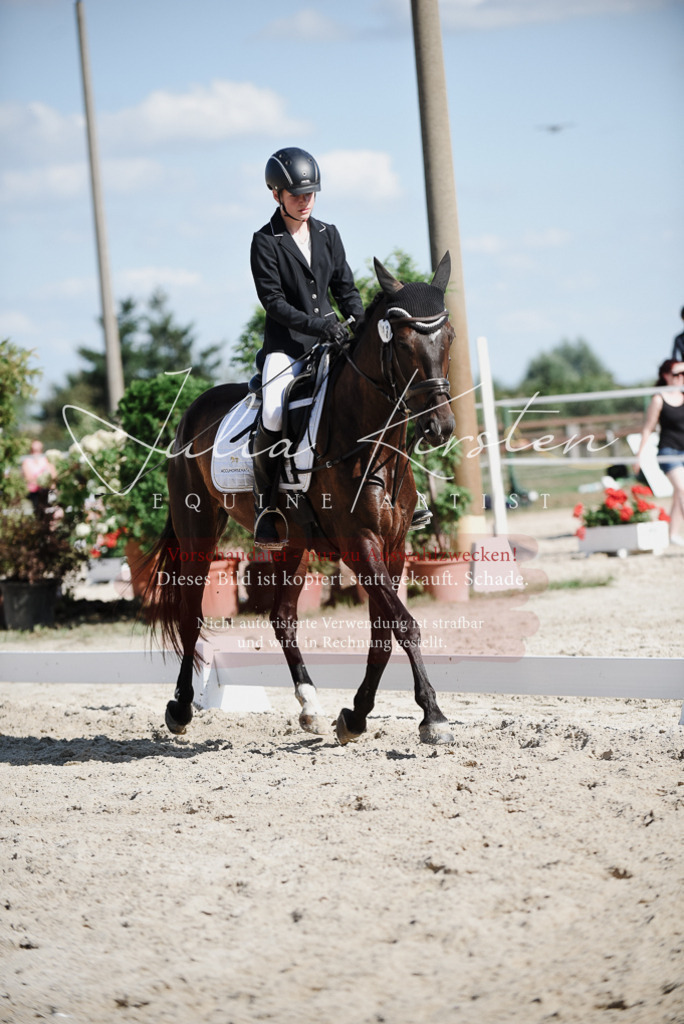 DSC_0139 | Pferde- und Turnierfotografie in Westsachsen. Pferdeportraits, Auftragszeichnungen und intuitive Kunst.