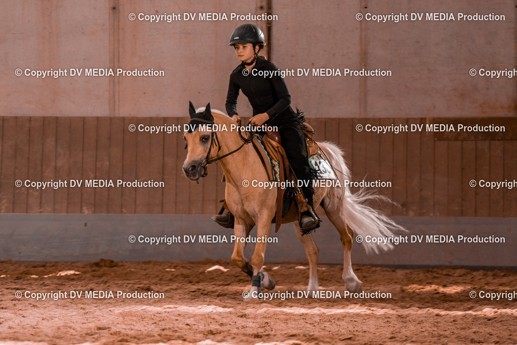 NE200702 | dv-media-shop - Realisiert mit Pictrs.com