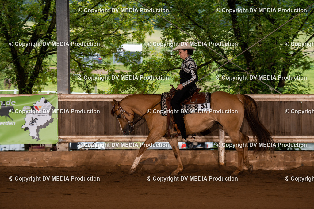 Erbach Tag 4-295 | dv-media-shop - Realisiert mit Pictrs.com