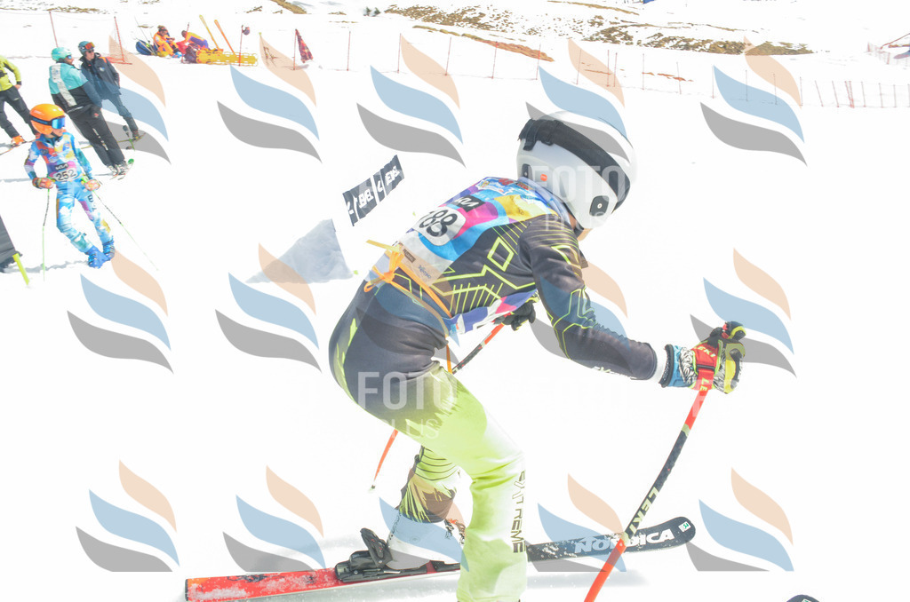 _ELE6769 | holidayphoto