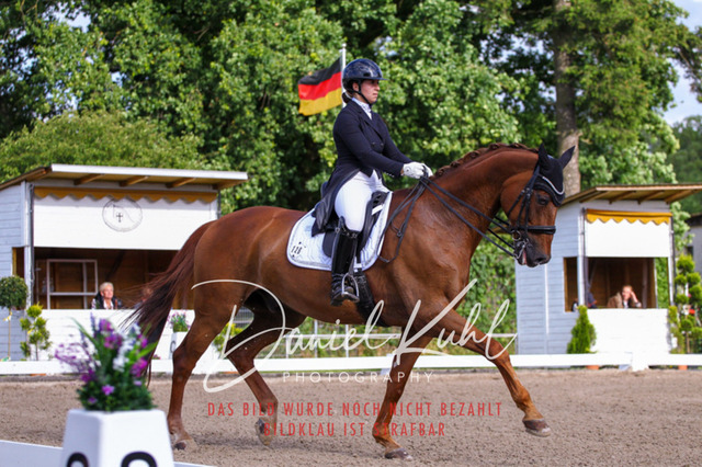 DKP41595 | Deine Turnierfotos vom Reitturnier online kaufen: Dressur, Springen & Siegerehrung. Professionelle Pferdefotografie aus dem Rheinland – als Download & Print.Alternative: Turnierfotograf für den Pferdesport: Finde deine Fotos von Dressur- und Springturnier