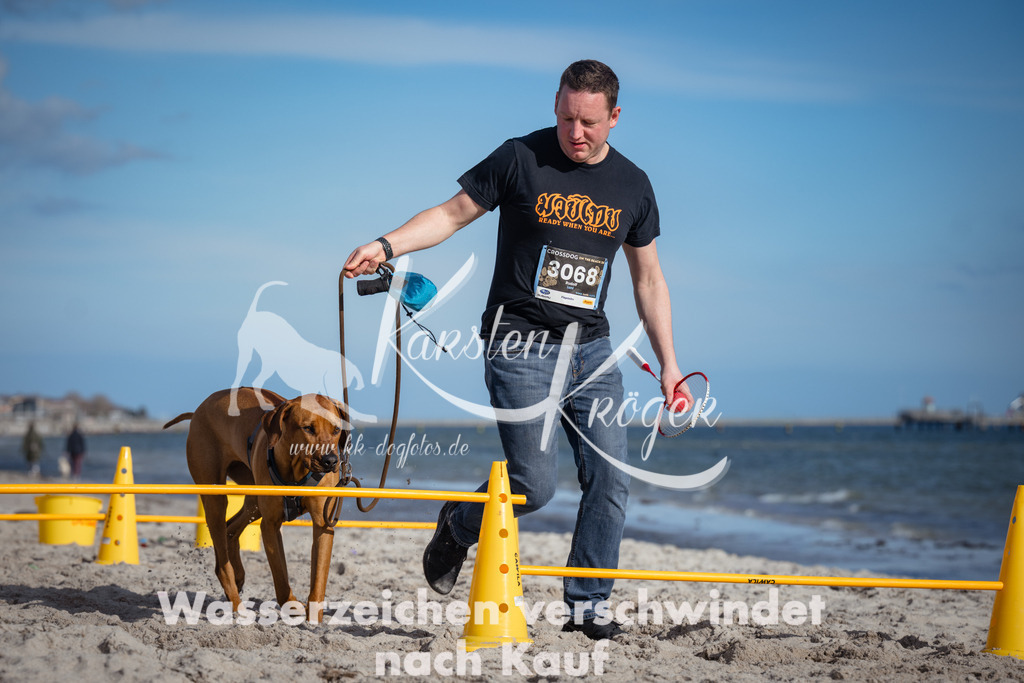 1336_ZZ92210 | kk-dogfotos