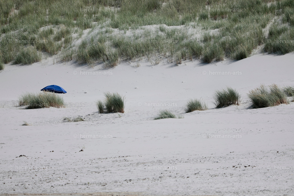 Nature-Arts-001 | Photo Foto Kunst Art schwarzweiss Bilder Rheine Münster Berlin Blumen 