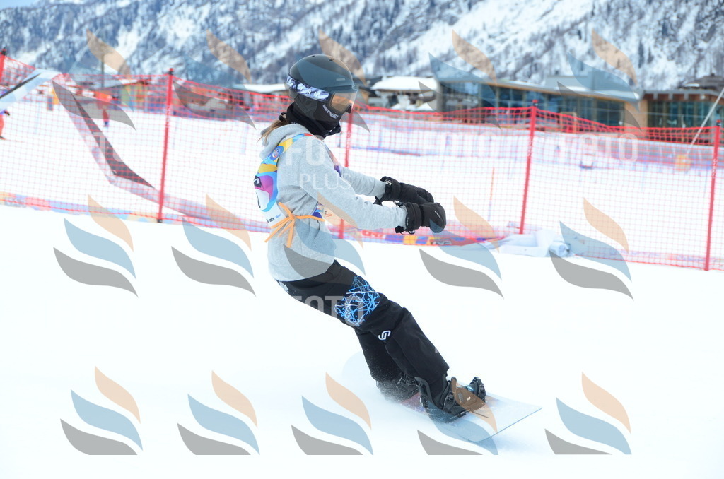 DSC_2336 | holidayphoto