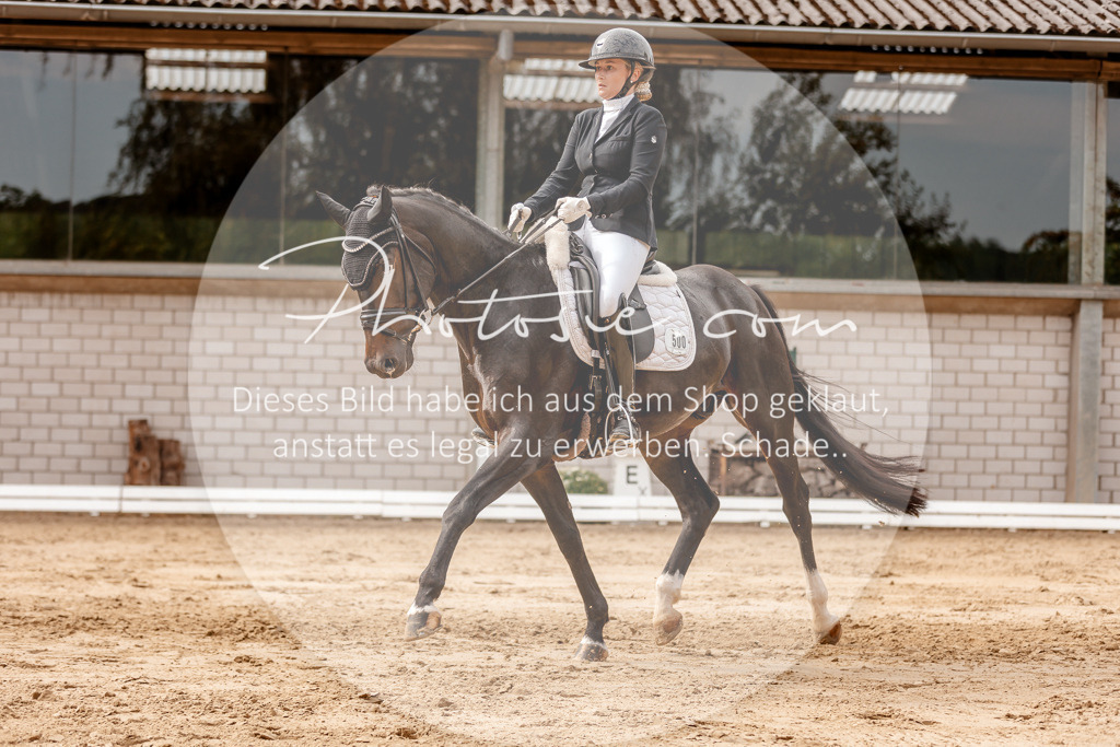 3I6A3663 | Stimmungsvolle Portraits und Reitsportfotografie im Ruhrgebiet und im Münsterland.

Pferdefotografie, Hundefotografie, Tierfotografie, Reportagen, Portraits von Tier und Mensch, Turnierfotografie in Bochum, Recklinghausen, Marl, Haltern am See, Dülmen.. - Realisiert mit Pictrs.com