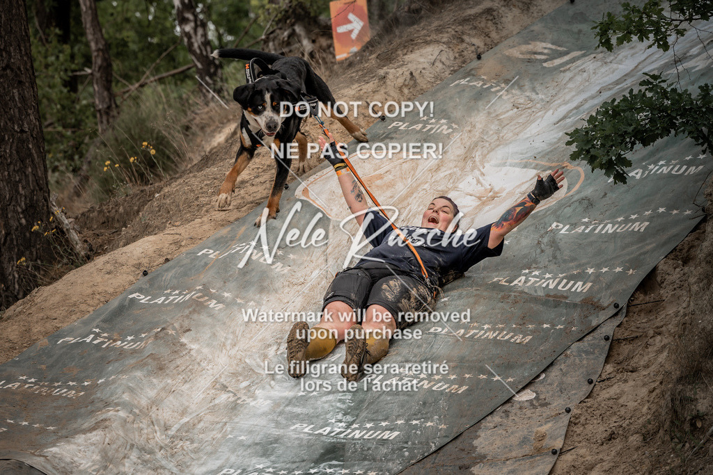nelerasche_sa1200-1230_382 | nelerasche