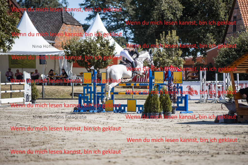 BK1A6796 | Turnierbilder Turnierfotos Nina Hüffmann Turnierfotografie Pferdefotografie Tierzeichnung Haustierzeichnung Pferdezeichnung Hundezeichnung Videograf  - Realisiert mit Pictrs.com