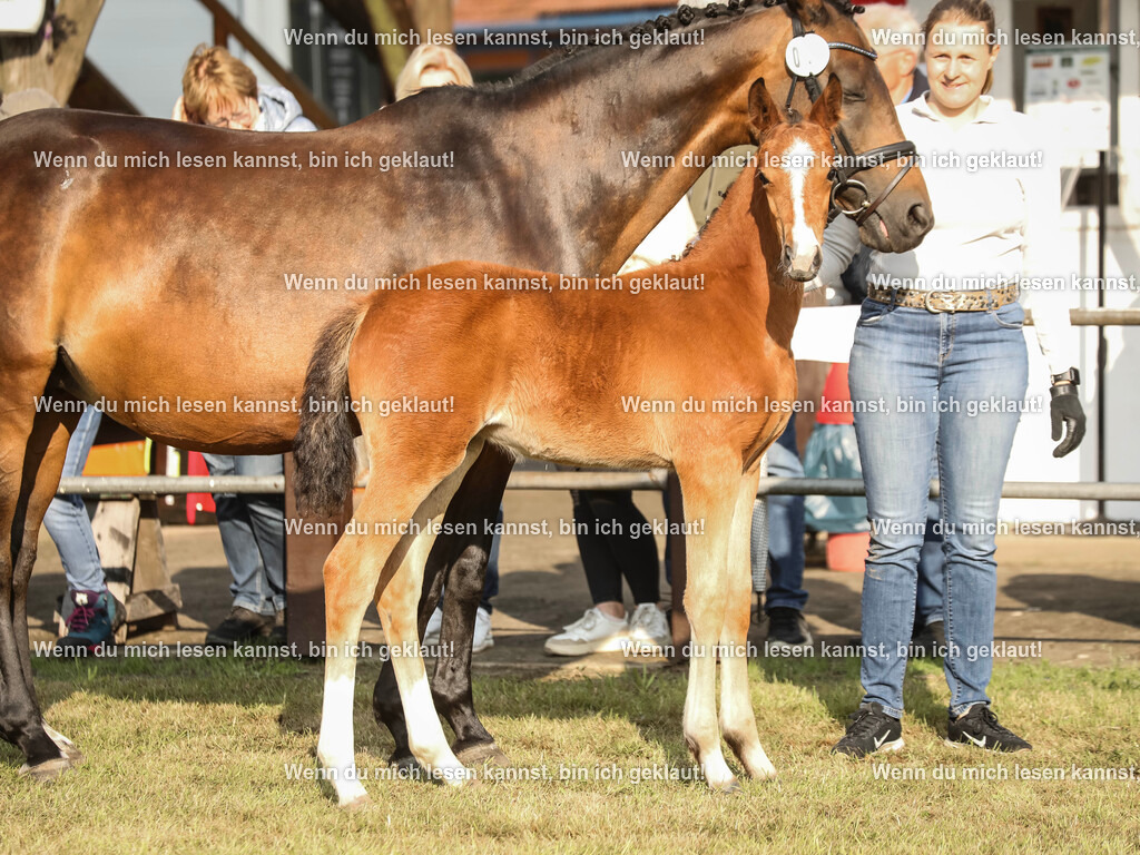 598A3136 | photographylinaismer - Realisiert mit Pictrs.com