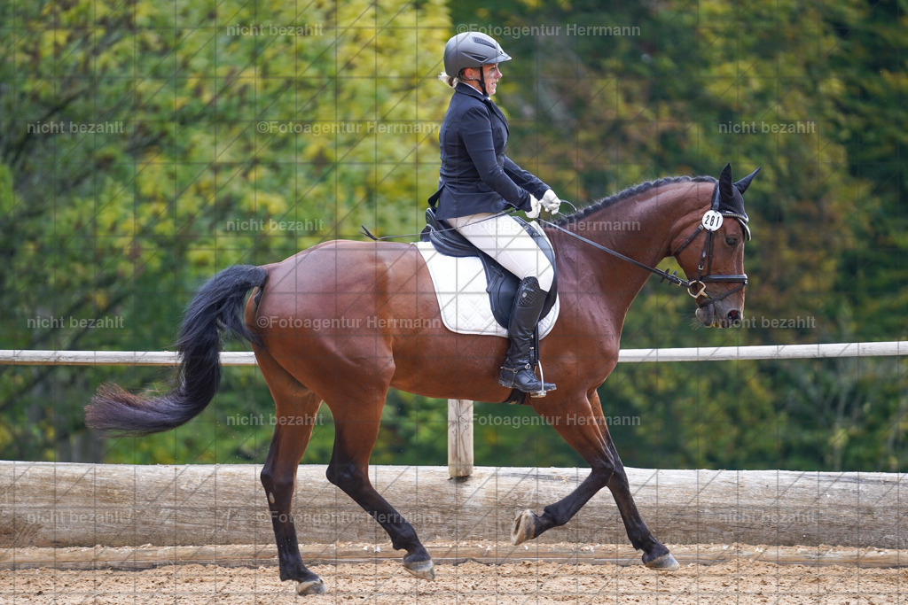 20221008-FAH00991 | Diessen am Ammersee, 2022, Dressur- und Springturnier, Reitsportbilder, Turnierfotografen Bayern, Pferdefotografen, Fotoagentur Herrmann, Turnierbilder