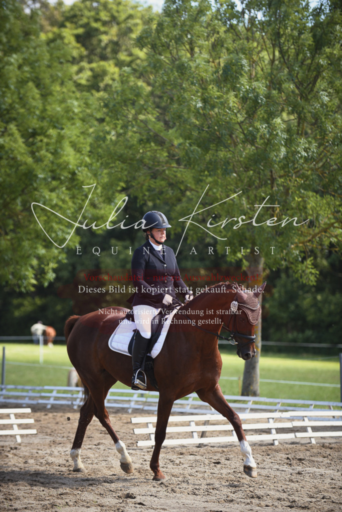 DSC_0507 | Pferde- und Turnierfotografie in Westsachsen. Pferdeportraits, Auftragszeichnungen und intuitive Kunst.