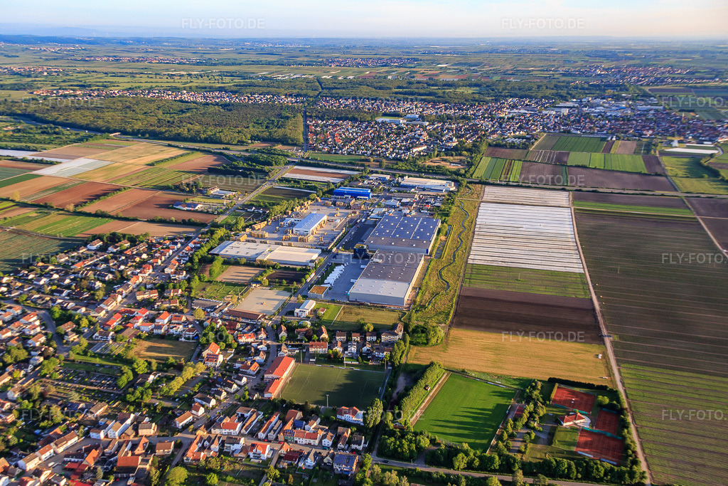 Luftbild: Ortsansicht aus Südosten mit Industriegebiet Industriestraße und FRIGO-TRANS GmbH in Fußgönheim im Bundesland Rheinland-Pfalz in Deutschland. Foto: IMG_088623.jpg vom 20.05.2016 durch Werner Riehm/FLY-FOTO.deFRIGO-TRANS